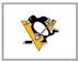 Pittsburgh Penguins